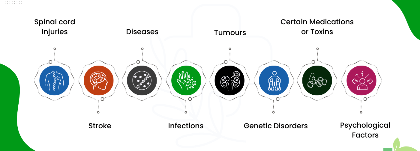 Causes of Paralysis