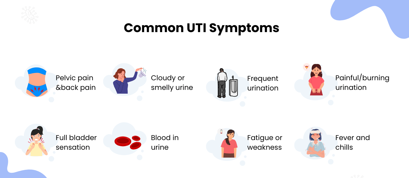 Common UTI Symptoms